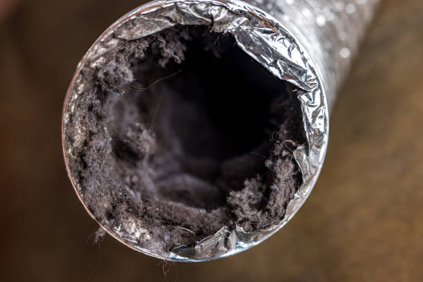 Best Emergency Air Duct Cleaning  in Lancaster, PA